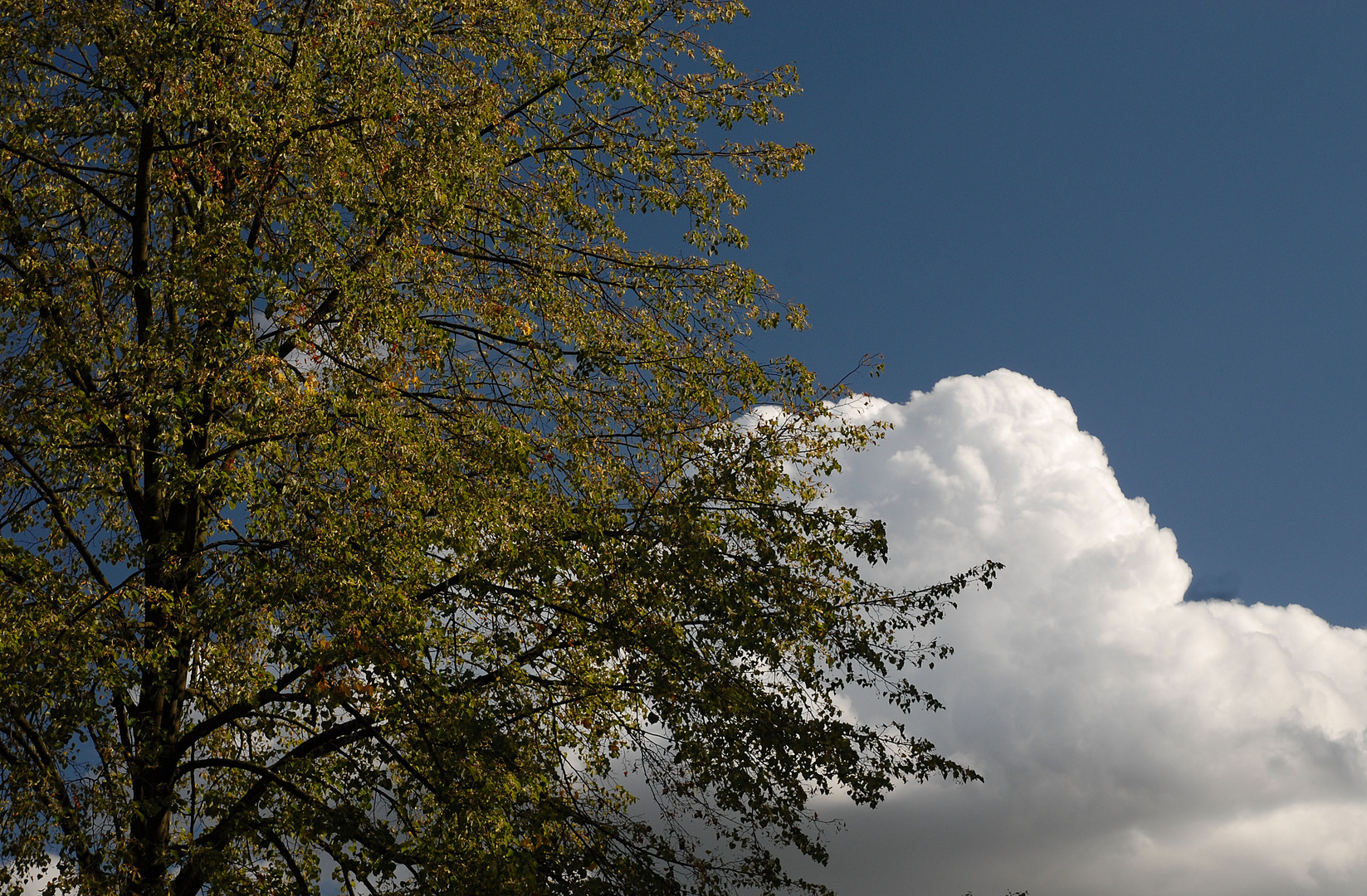 Wolken so weiß wie Schnee..