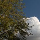 Wolken so weiß wie Schnee..