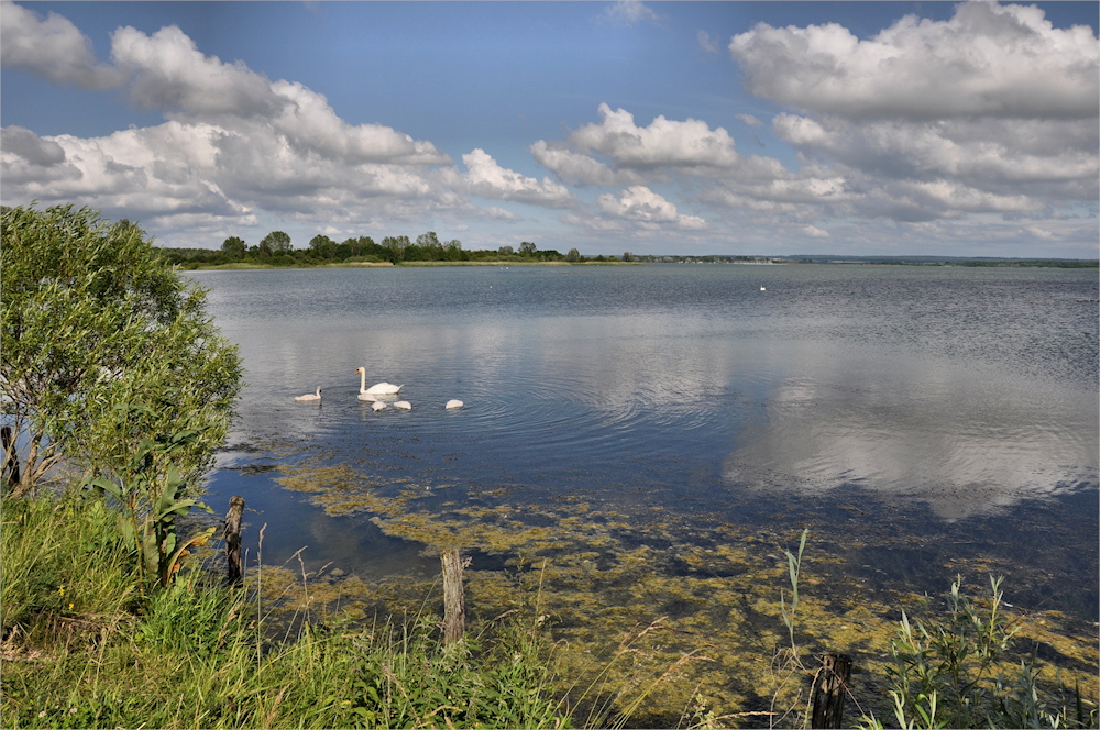 Wolken spiegeln