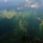 Wolken spiegeln sich im Baggersee