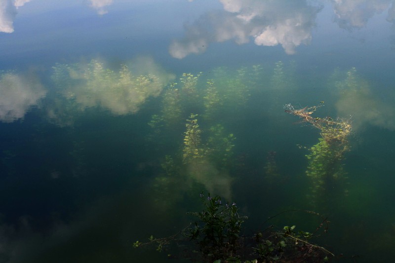 Wolken spiegeln sich im Baggersee