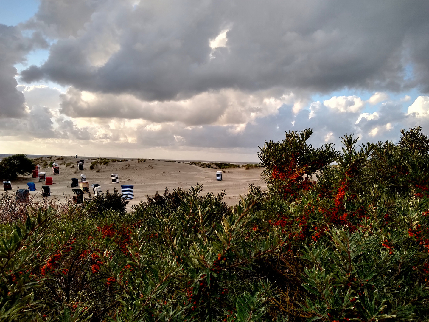 Wolken, Strand und Sanddorn