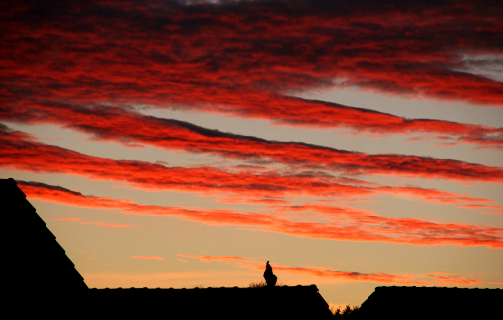 Wolken-Streifzug