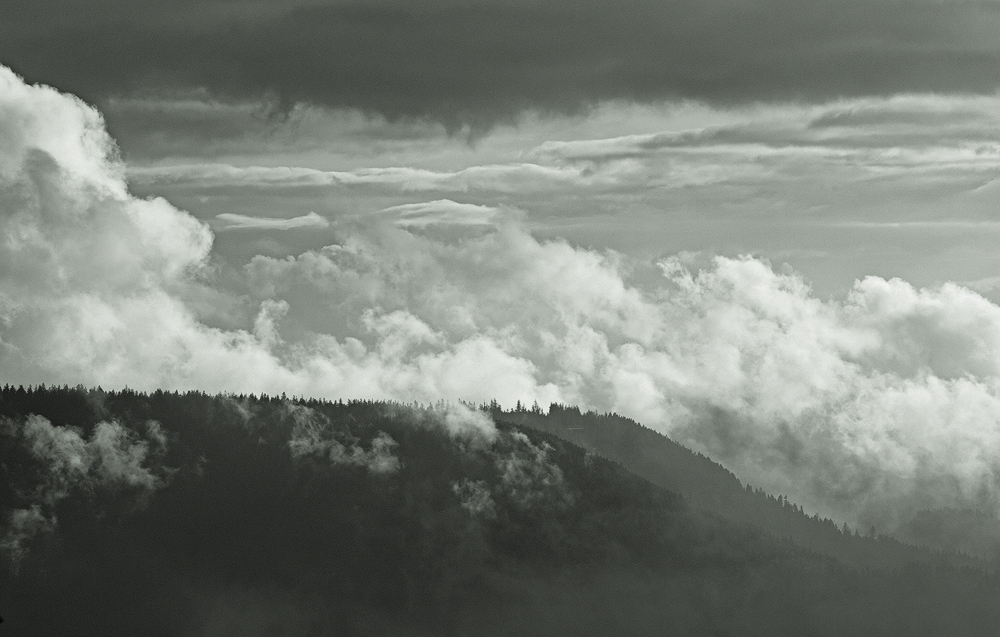 Wolken stürmen den Vogelskopf