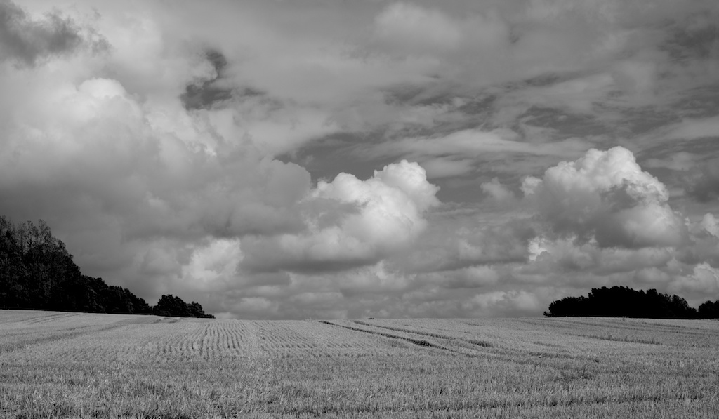 Wolken über abgeerntetem Feld