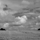 Wolken über abgeerntetem Feld