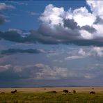 Wolken über Afrika ...