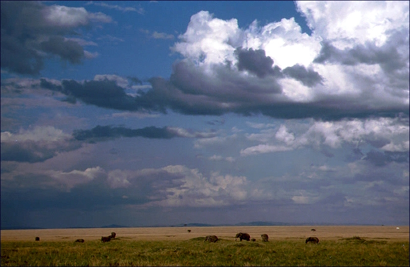 Wolken über Afrika ...