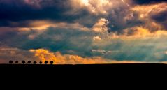 Wolken über Baumgruppe