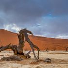 ~ Wolken über dem Dead Vlei ~