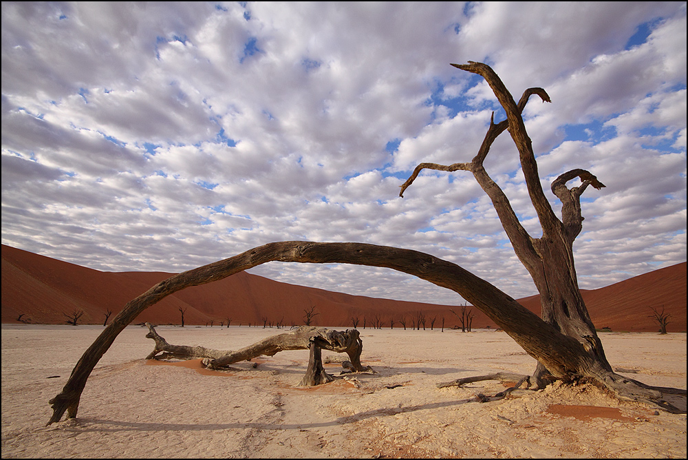 Wolken über dem Deadvlei (2)