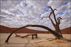 Wolken über dem Deadvlei (2)