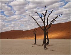 Wolken über dem Deadvlei