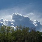 wolken über dem englischen garten 2