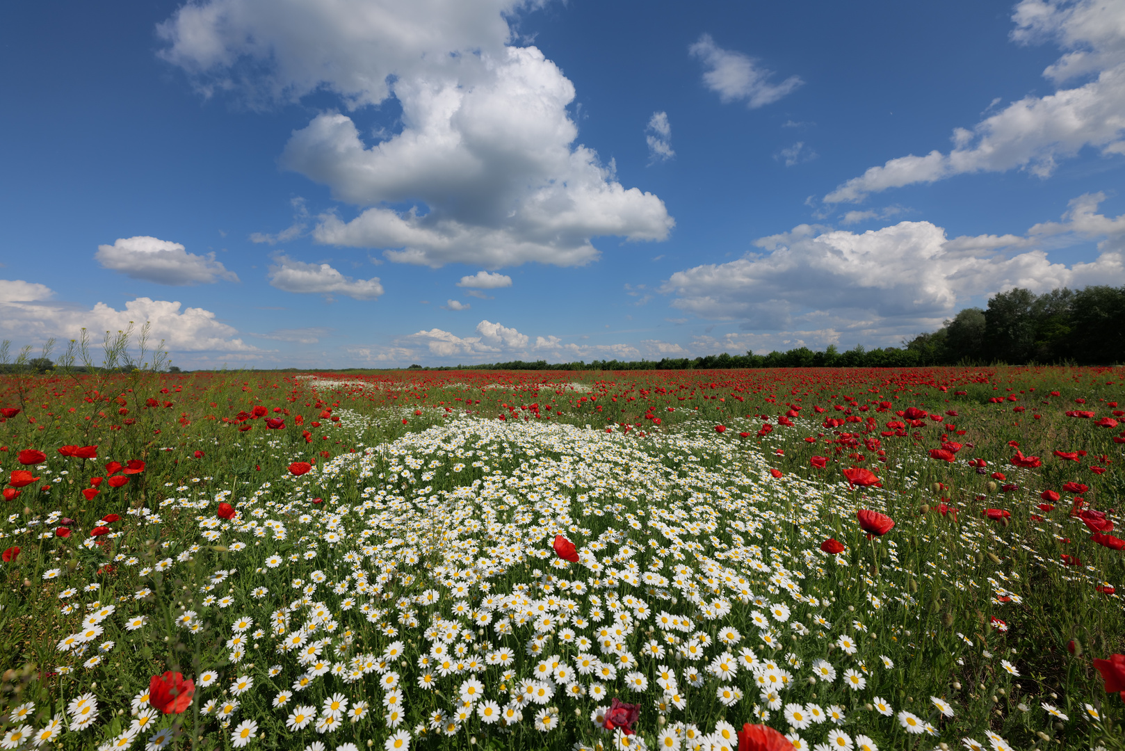 Wolken über dem Feld