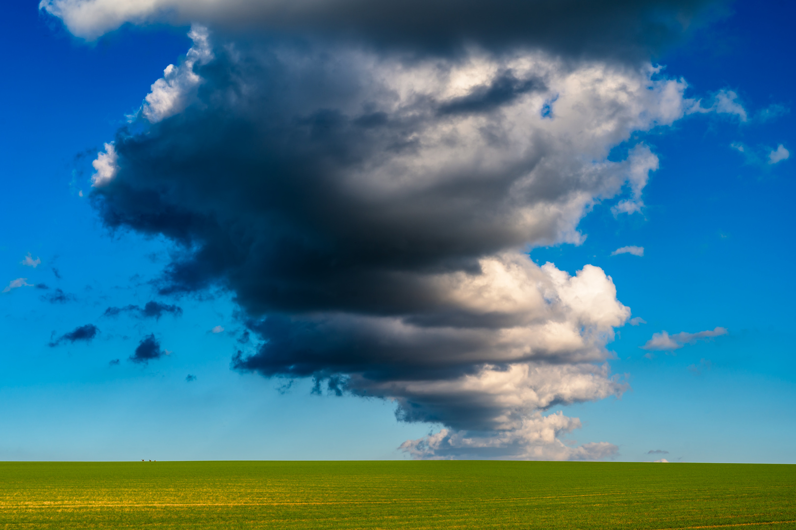 Wolken über dem Feld