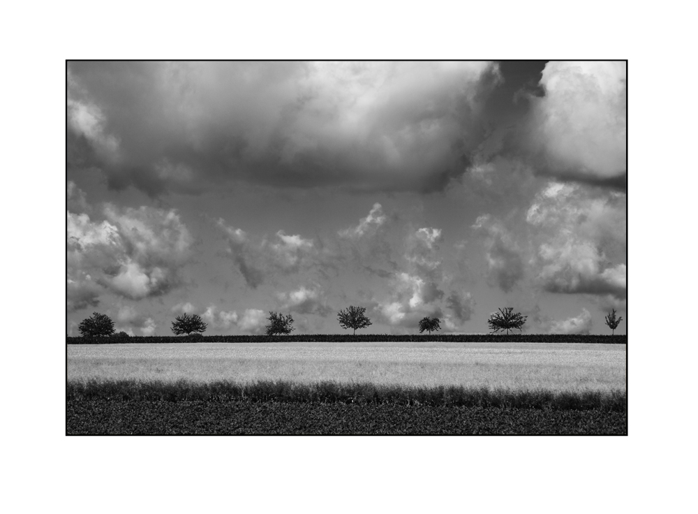 Wolken über dem Feld