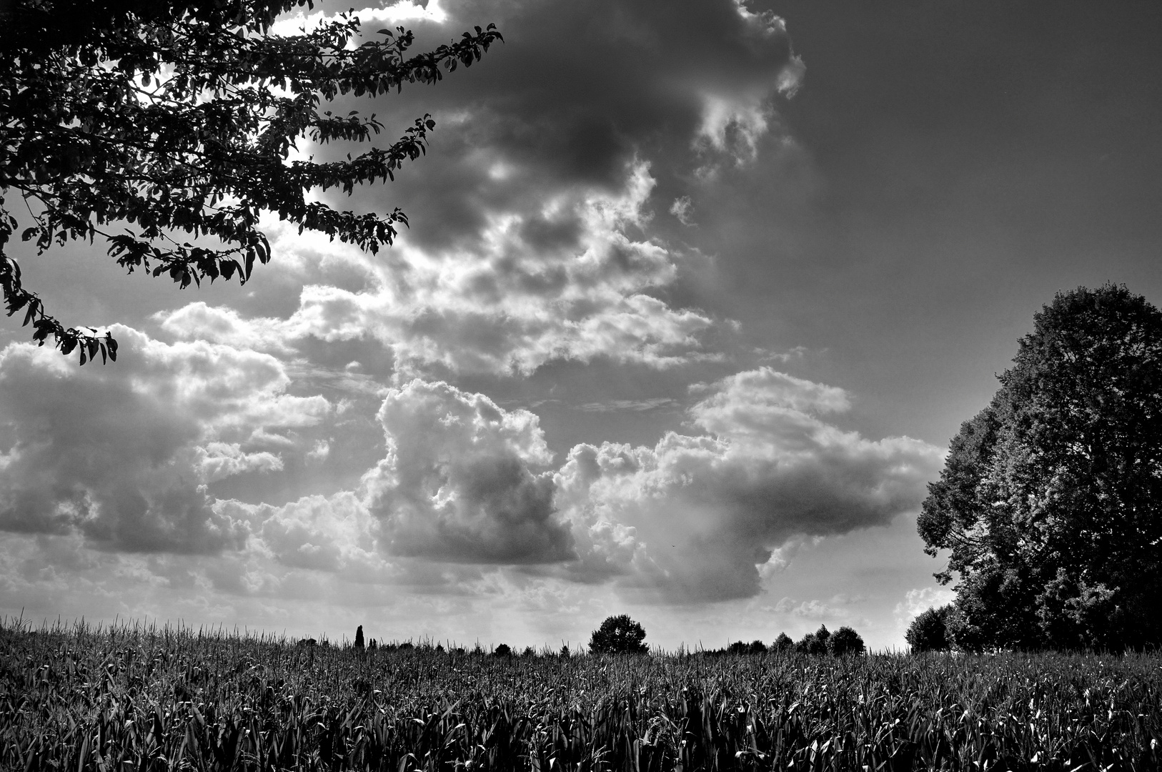 Wolken über dem Feld