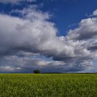 Wolken über dem Himmel