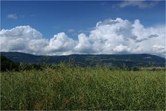 Wolken über dem Jura