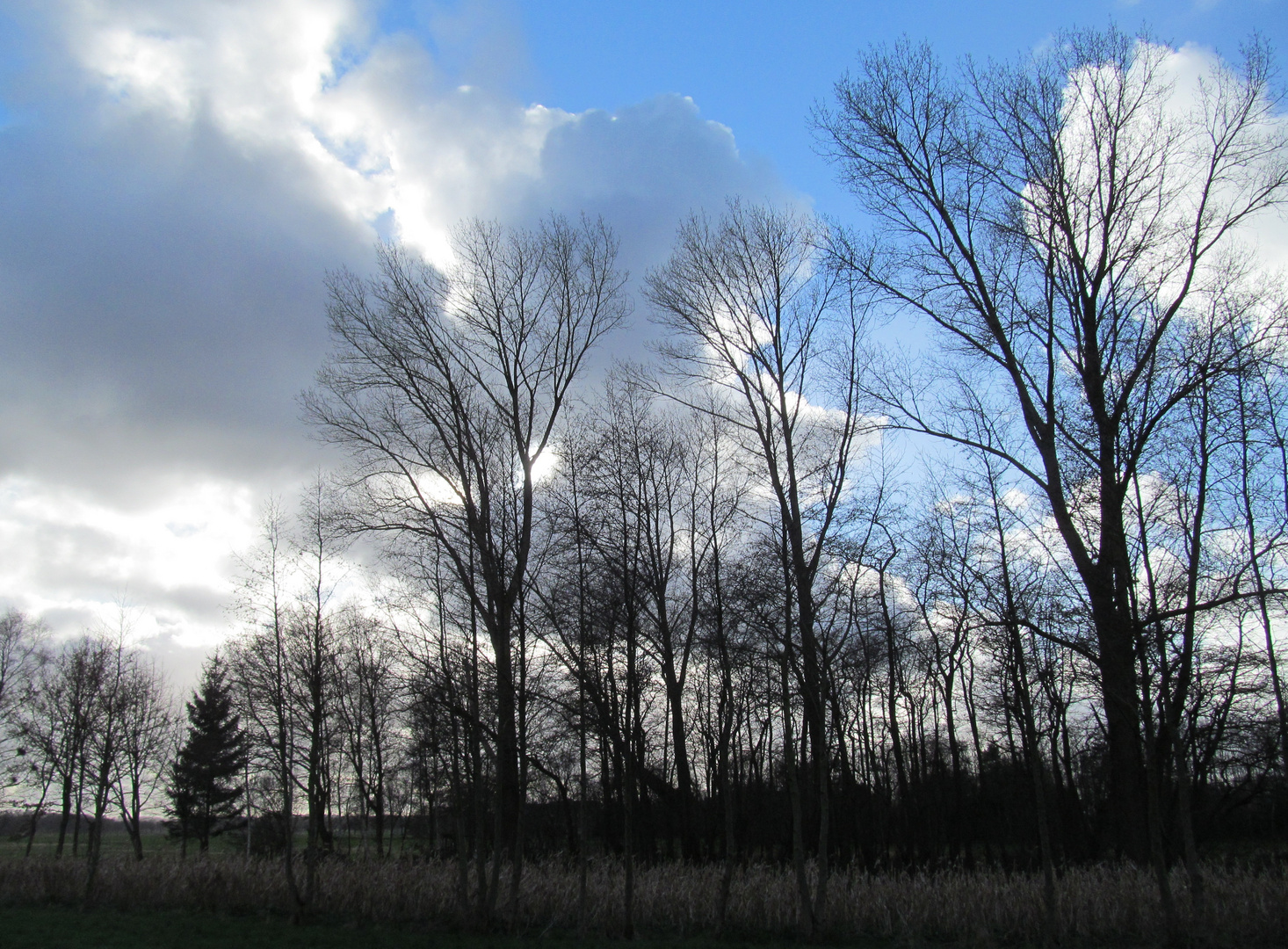 Wolken über dem kleinen Wald  ..............