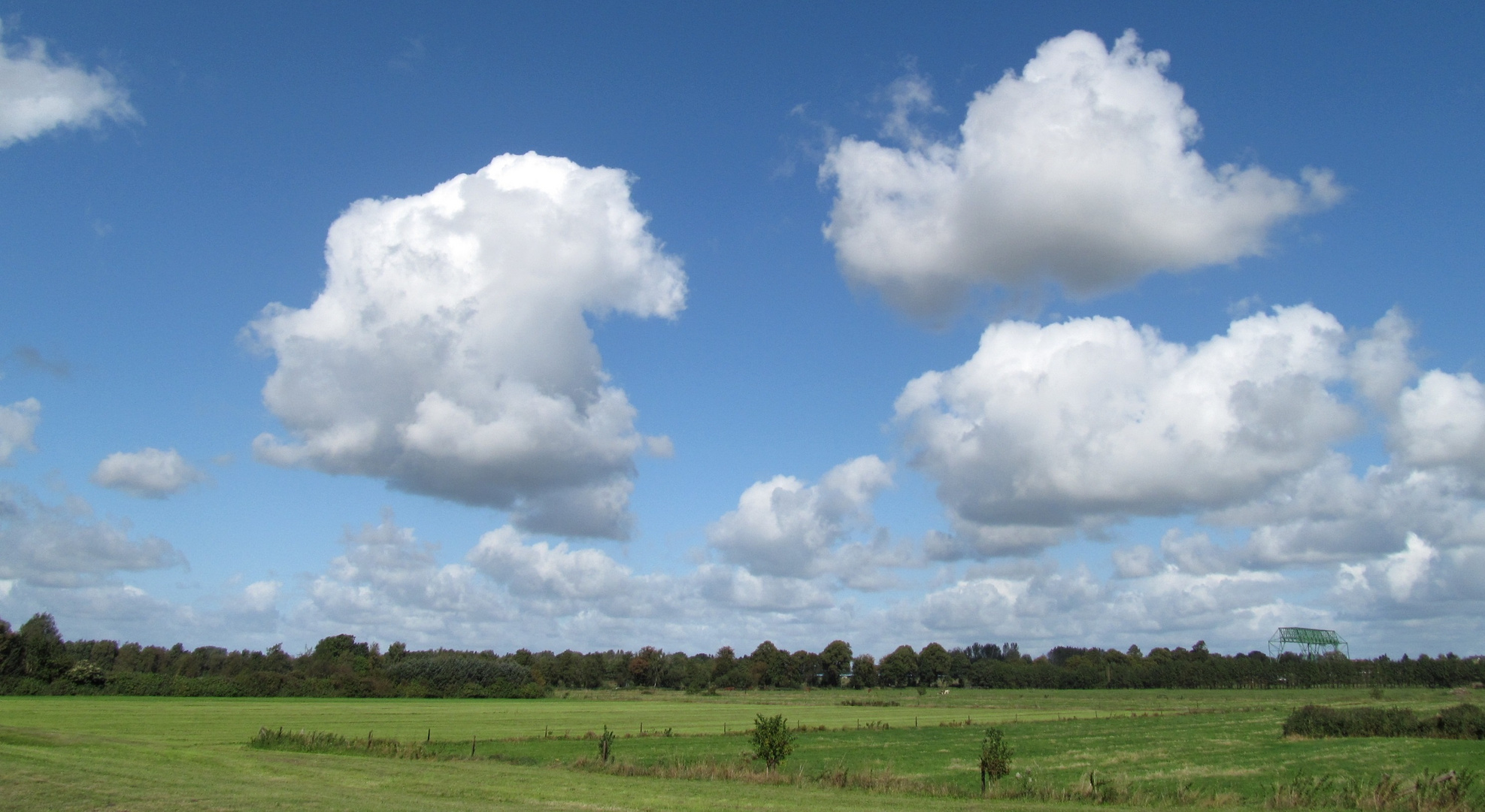 Wolken über dem Marschland  ... 