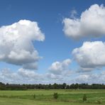 Wolken über dem Marschland  ... 