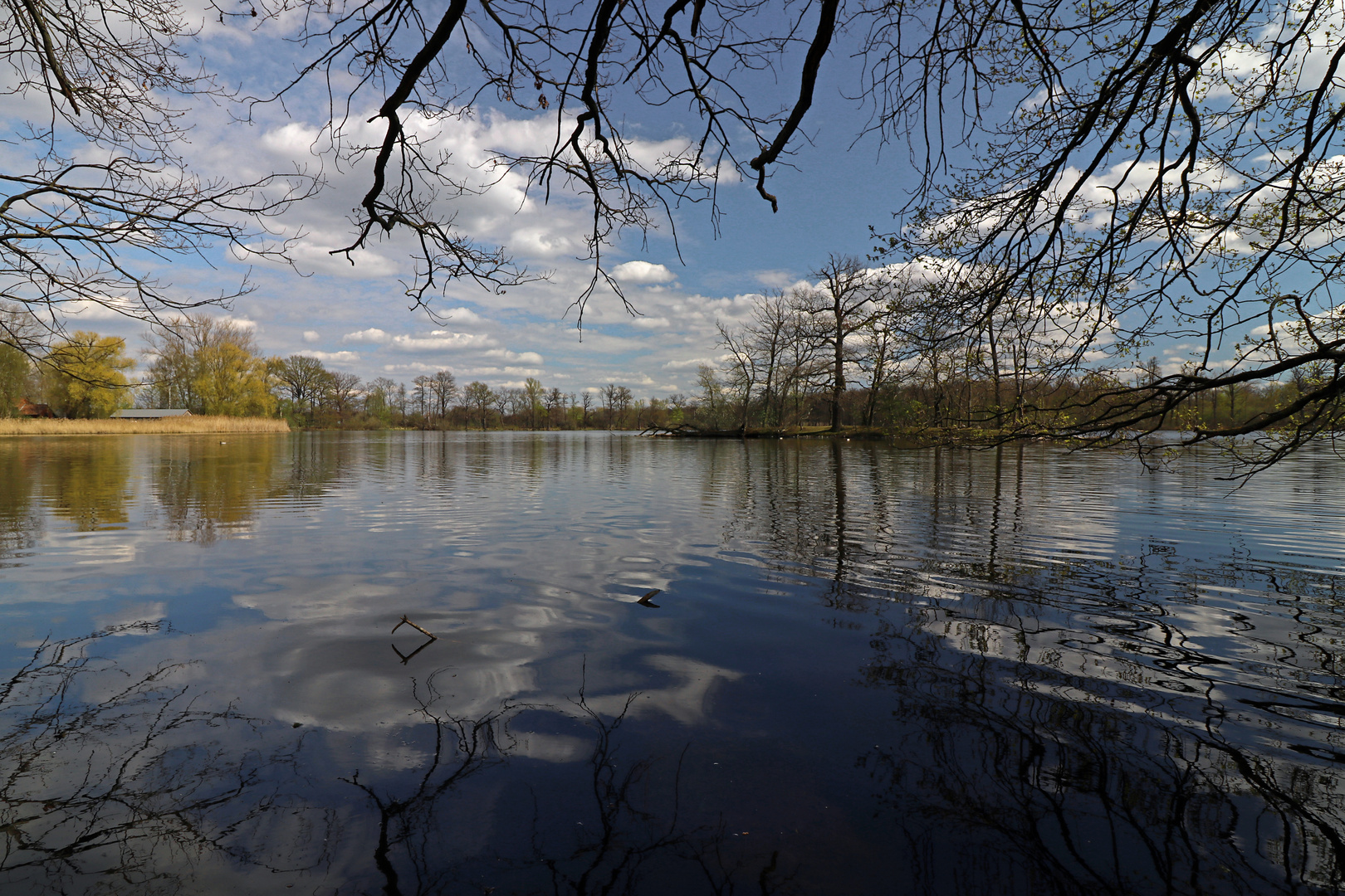 Wolken über dem Mittelteich