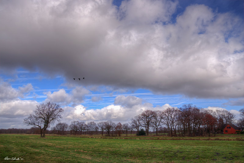 ~ Wolken über dem Moor ~