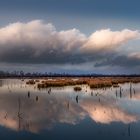 Wolken über dem Moor