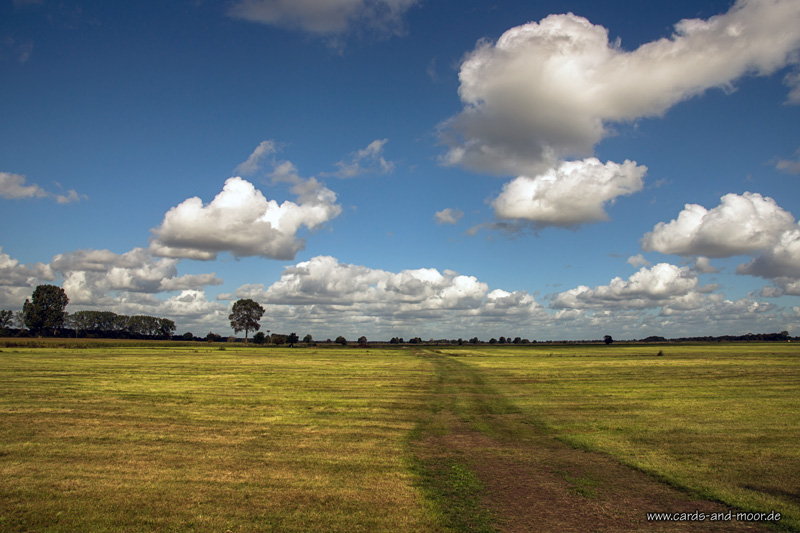 ~ Wolken über dem Moor ~