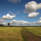 ~ Wolken über dem Moor ~