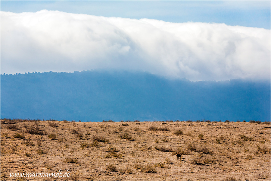 Wolken über dem Ngorongoro Krater