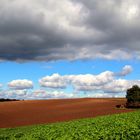 Wolken über dem Odenwald