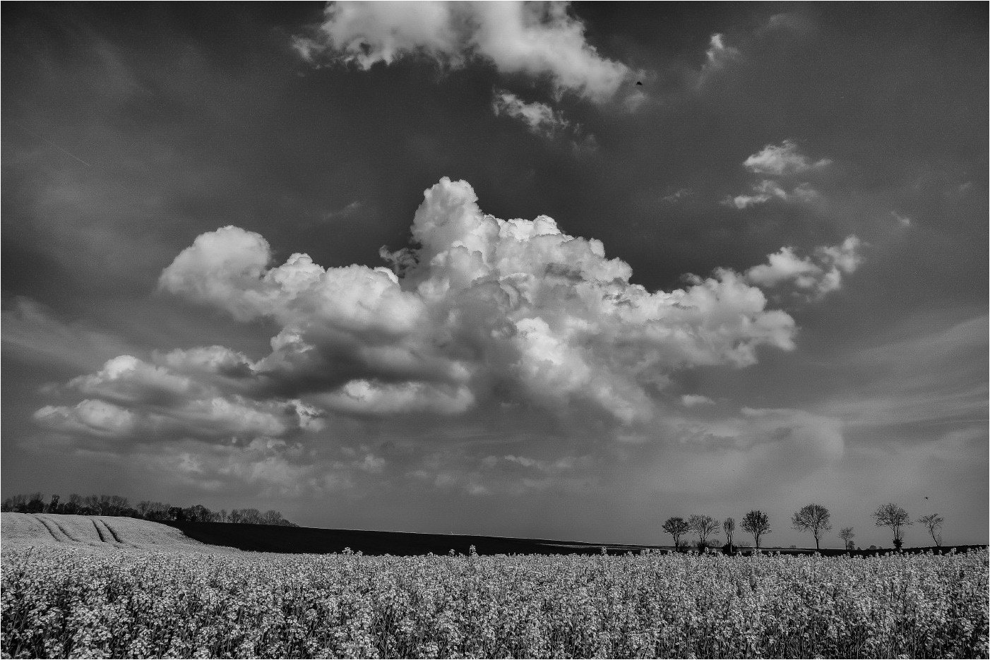 Wolken über dem Ölfeld