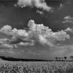 Wolken über dem Ölfeld