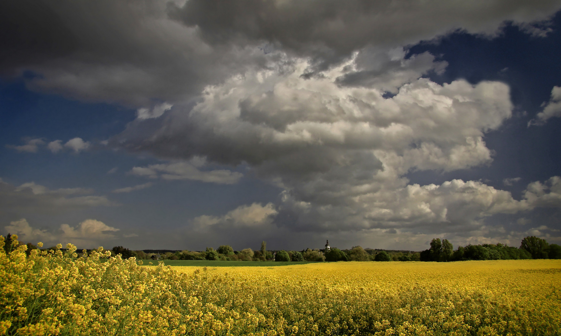 Wolken über dem Rapsfel