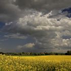 Wolken über dem Rapsfel