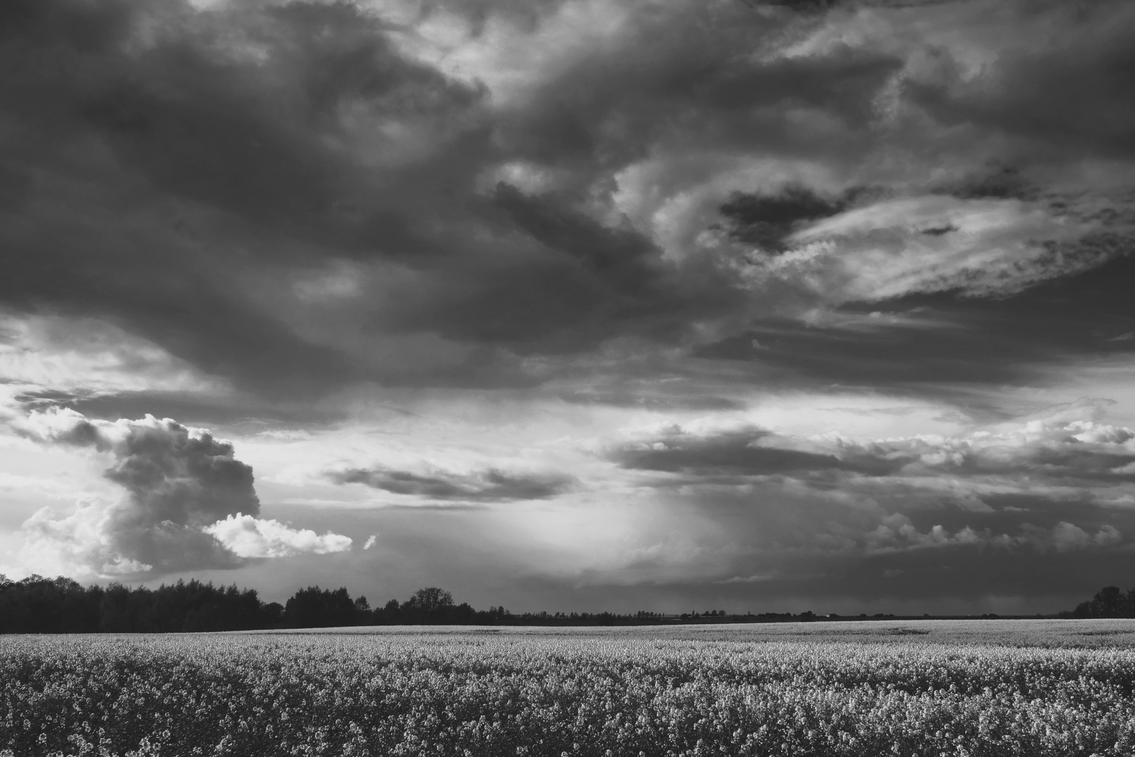 Wolken über dem Rapsfeld