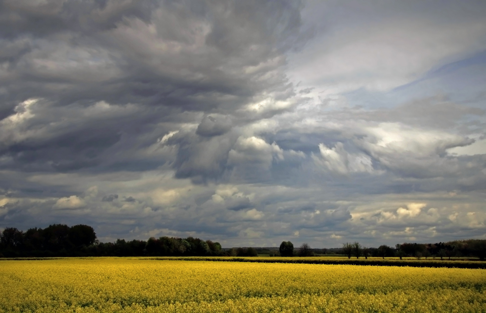 Wolken über dem Rapsfeld