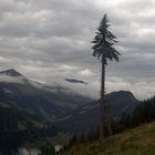 Wolken über dem Rauris Tal