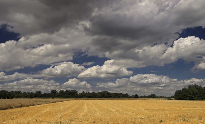 Wolken über dem Stoppelfeld