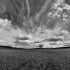 Wolken über dem Taubertal. Bearbeitung s/w.