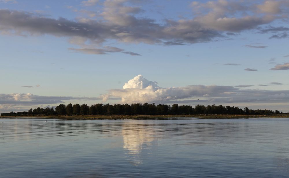 Wolken über dem Wald