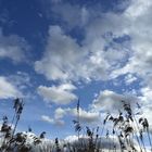 Wolken über dem Zürichsee