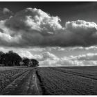 Wolken über den Feldern