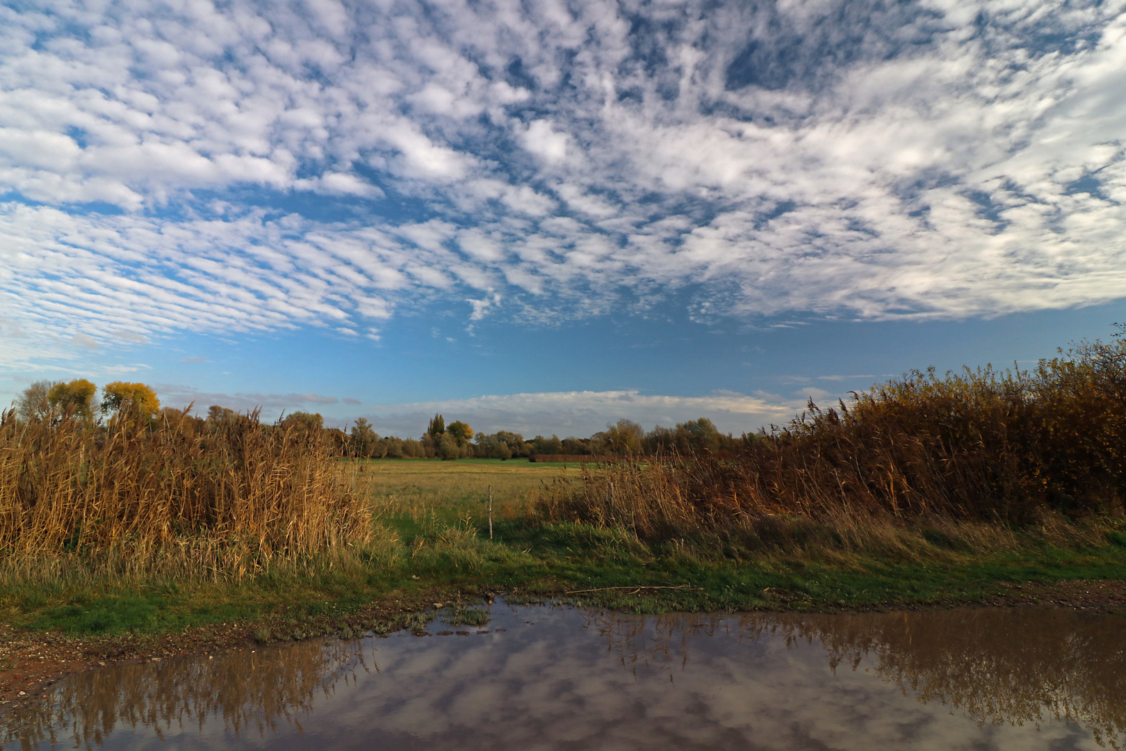 Wolken über den Okerwiesen