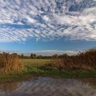 Wolken über den Okerwiesen