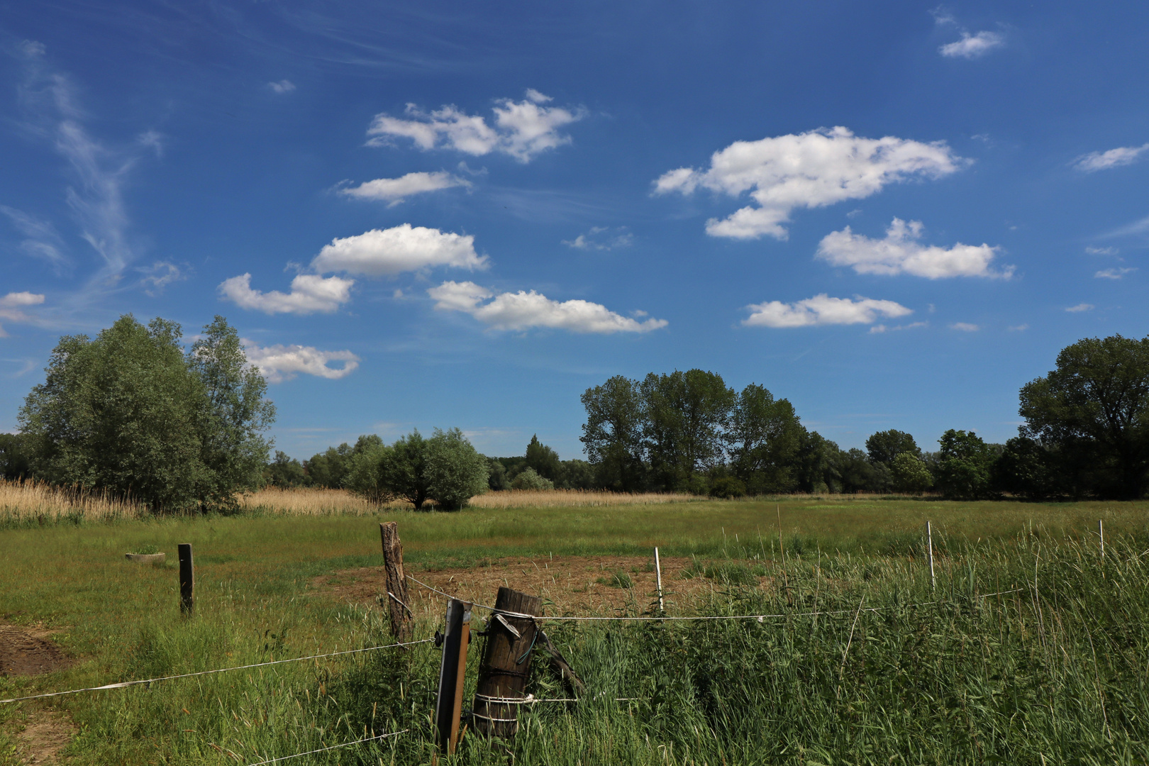 Wolken über den Weiden