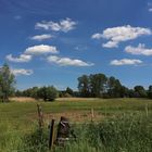 Wolken über den Weiden